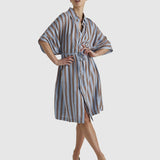 Grounded Shirt Dress - Blue/Tobacco Stripe