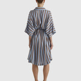 Grounded Shirt Dress - Blue/Tobacco Stripe